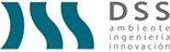 dss-logo